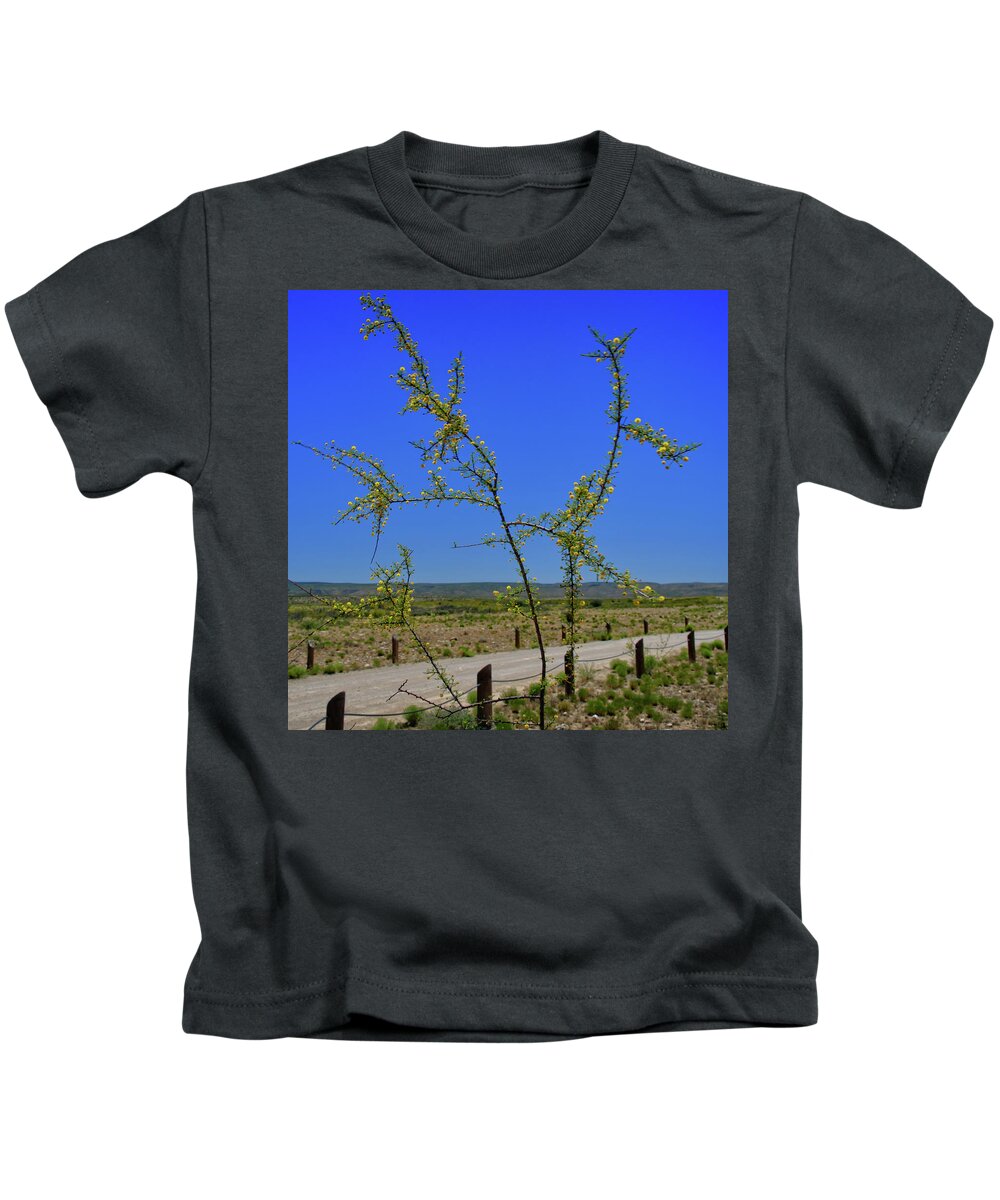 Flora Kids T-Shirt featuring the photograph Desert Bloom and Mountains by George Taylor
