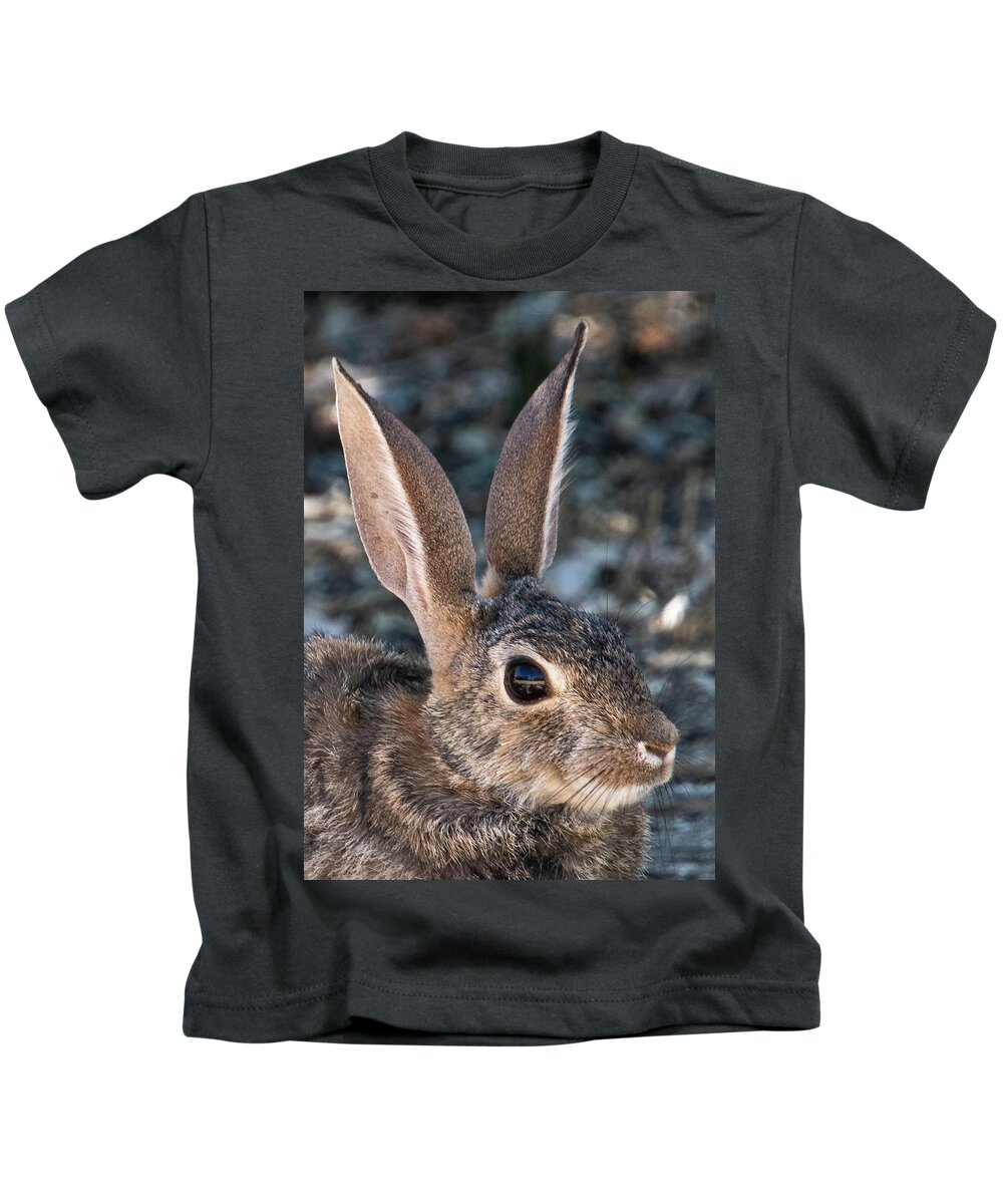 Rabbit Kids T-Shirt featuring the photograph Desert Cottontail by Melisa Elliott