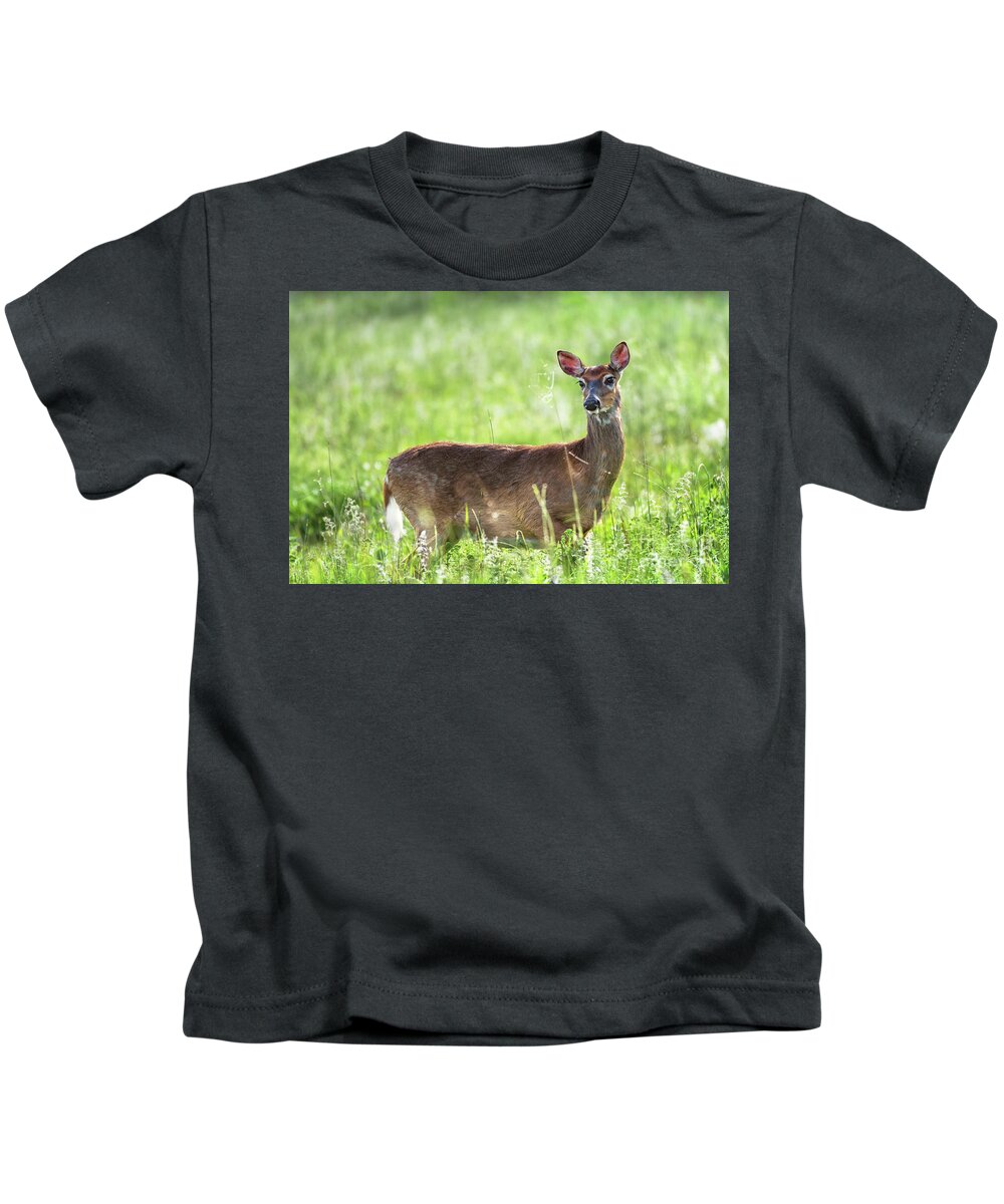 Doe Kids T-Shirt featuring the photograph Doe eyed - Whitetail deer on a meadow by Rehna George
