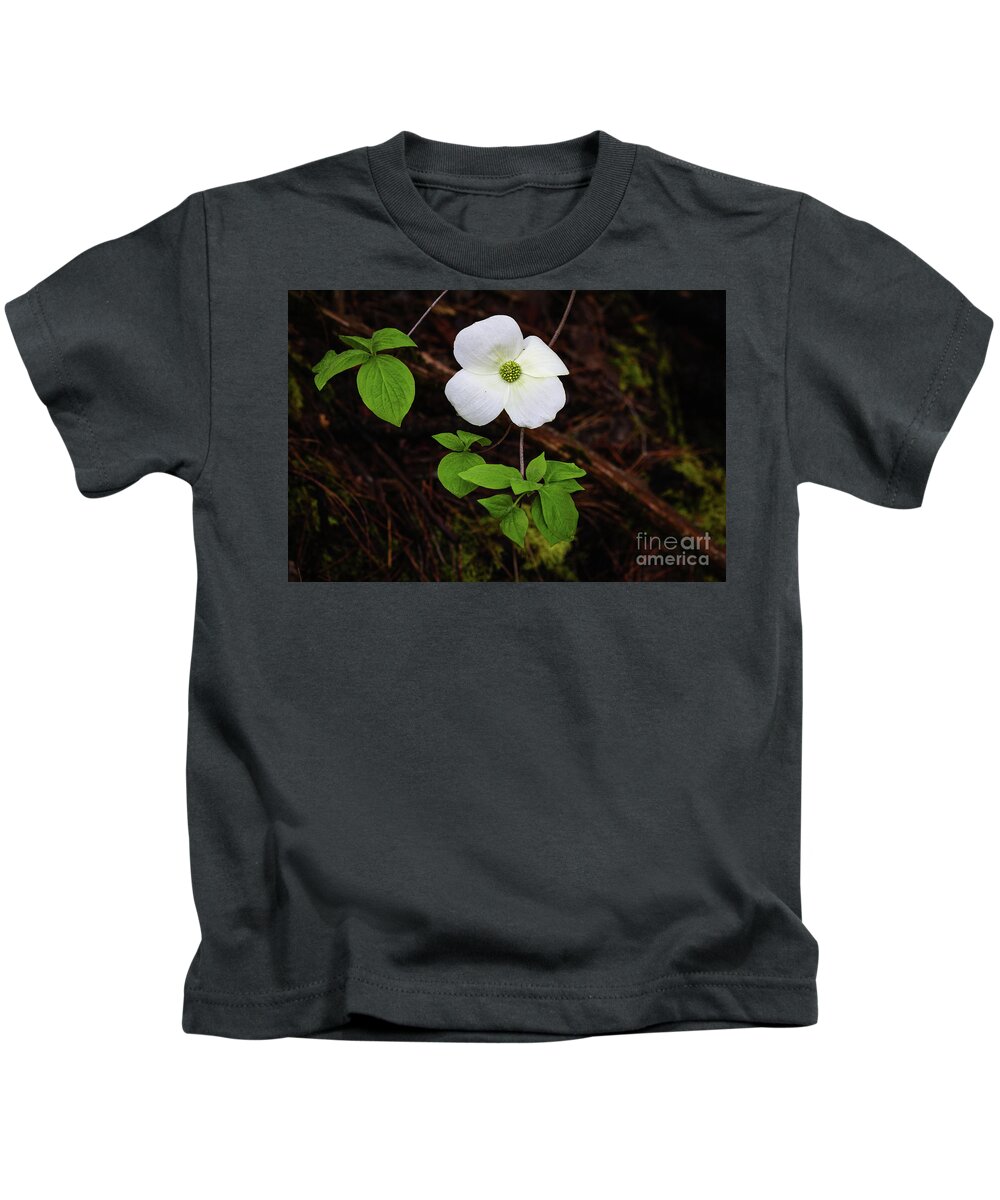  Kids T-Shirt featuring the photograph Dogwood by Vincent Bonafede