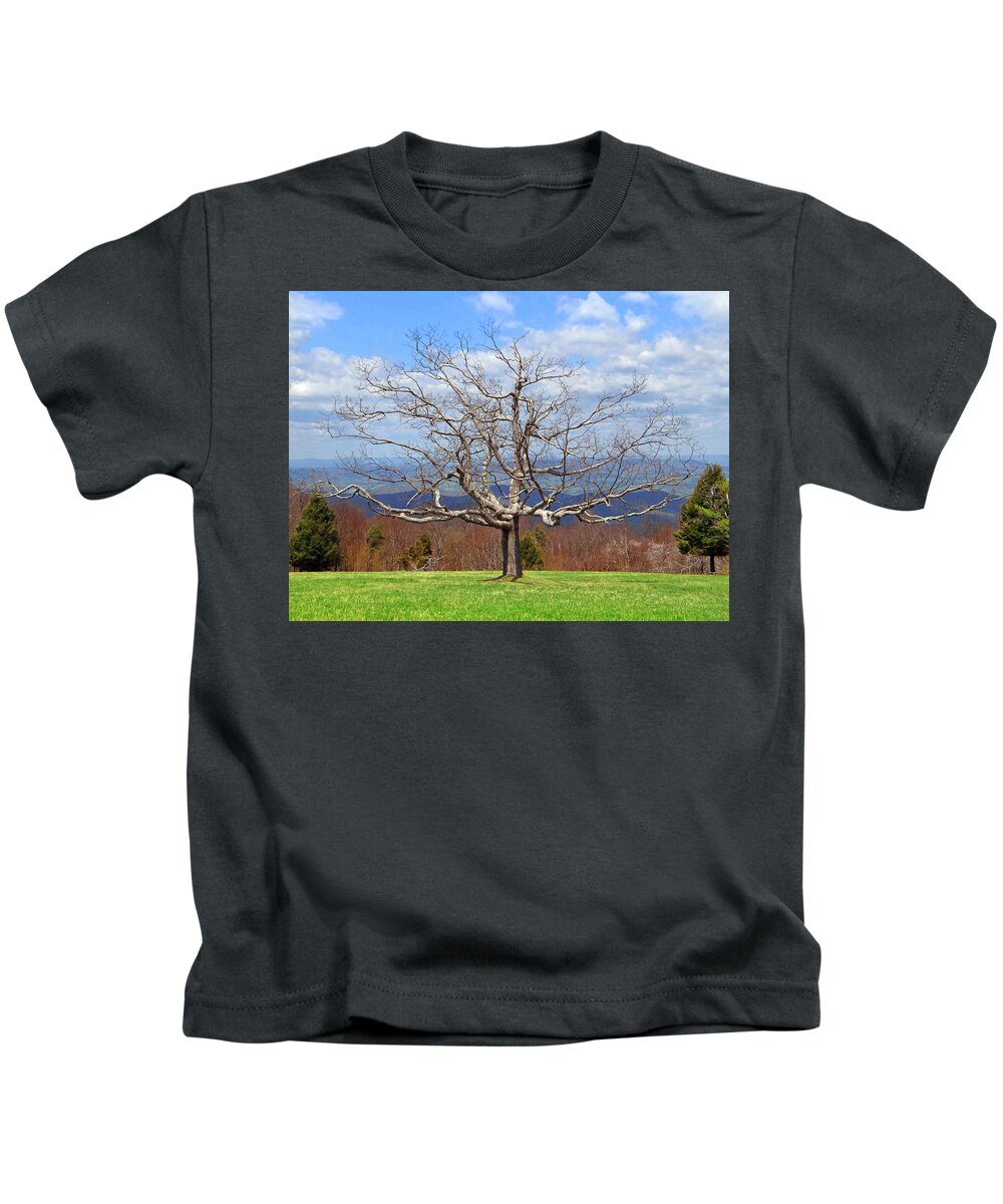 Dormant Tree Kids T-Shirt featuring the photograph Dormant Tree, Skyline Drive by The James Roney Collection