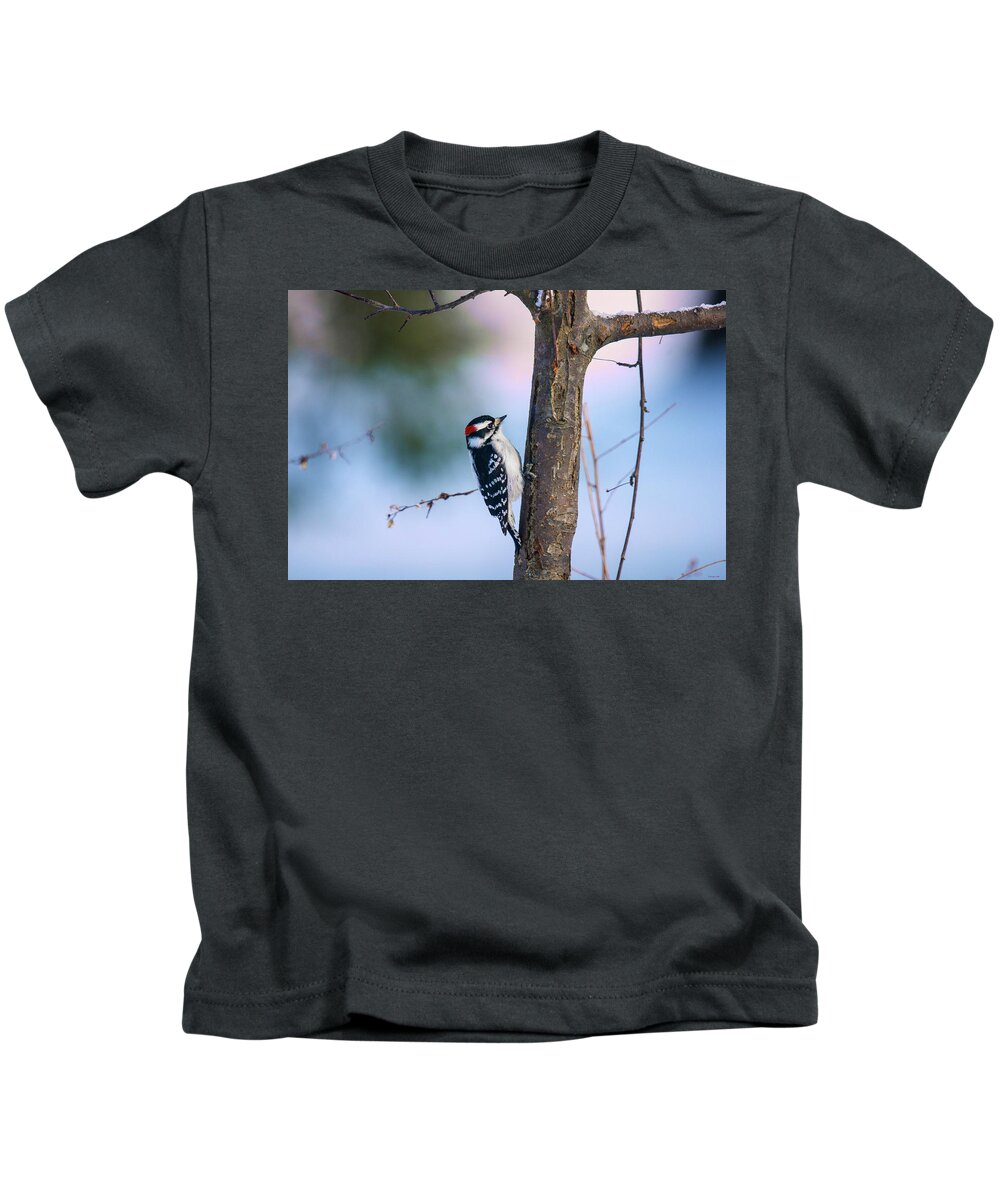 Downy Woodpecker Kids T-Shirt featuring the photograph Downy Woodpecker by Kristin Hatt