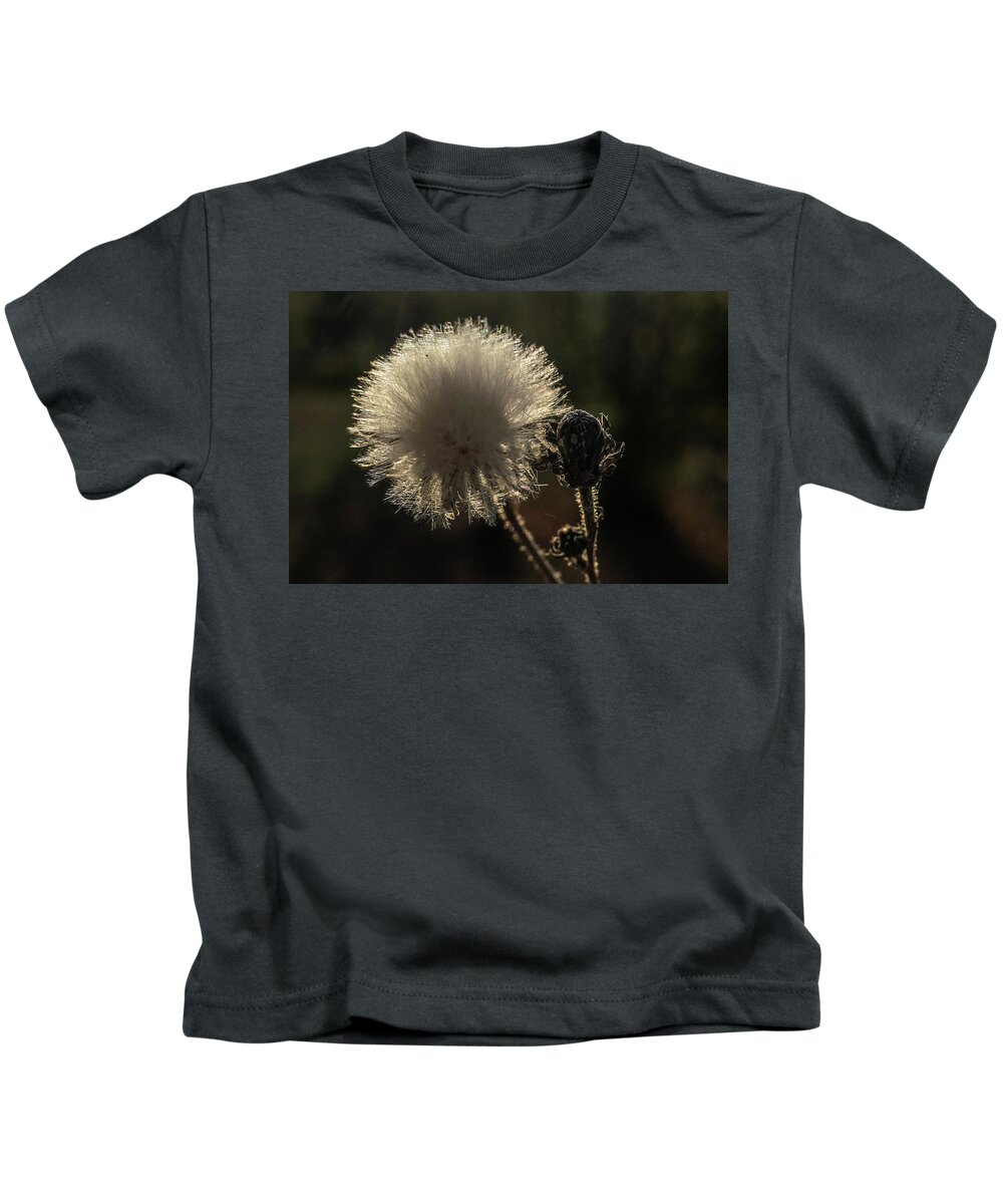 Dry Flower Kids T-Shirt featuring the digital art Drey flowe by Pal Szeplaky
