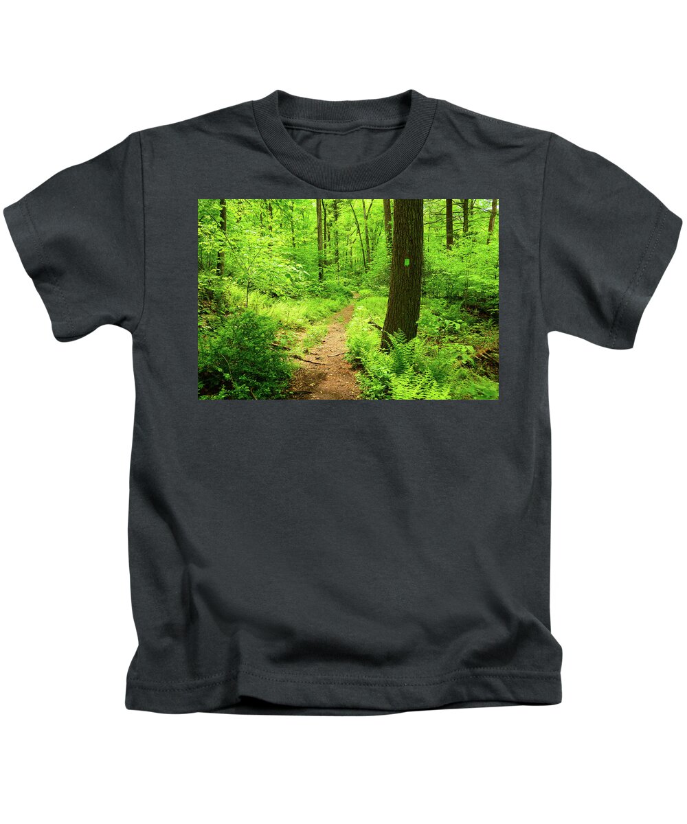 Dwg Dunnfield Creek Spring Green And Trail Blaze Kids T-Shirt featuring the photograph DWG Dunnfield Creek Spring Green and Trail Blaze by Raymond Salani III