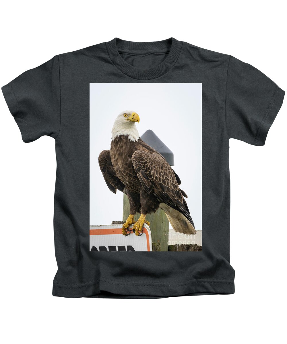 Eagle Kids T-Shirt featuring the photograph Eagle Perched on Sign by Tom Claud