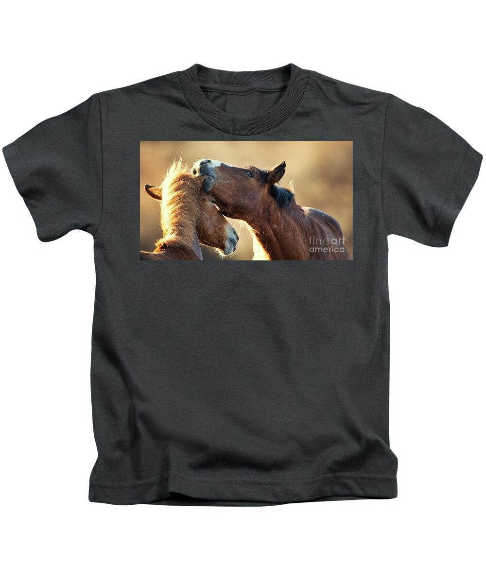 Salt River Wild Horses Kids T-Shirt featuring the photograph Ear Nibble by Shannon Hastings