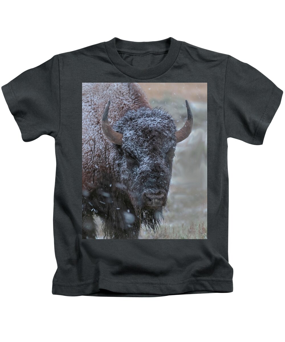 Buffalo Kids T-Shirt featuring the photograph Early Spring Late Snow Buffalo by Gary Langley