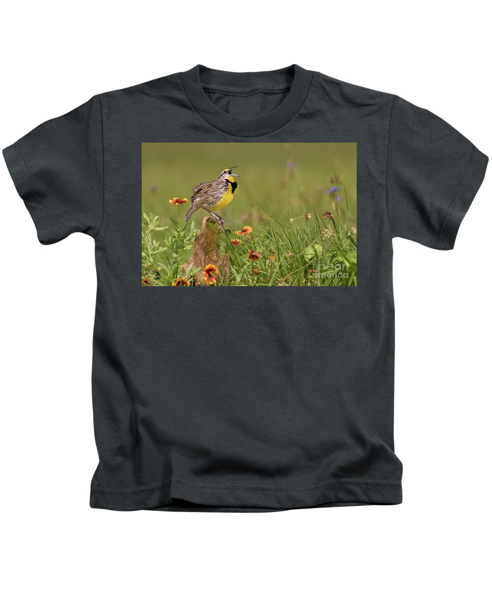 00563400 Kids T-Shirt featuring the photograph Eastern Meadowlark Calling by Alan Murphy