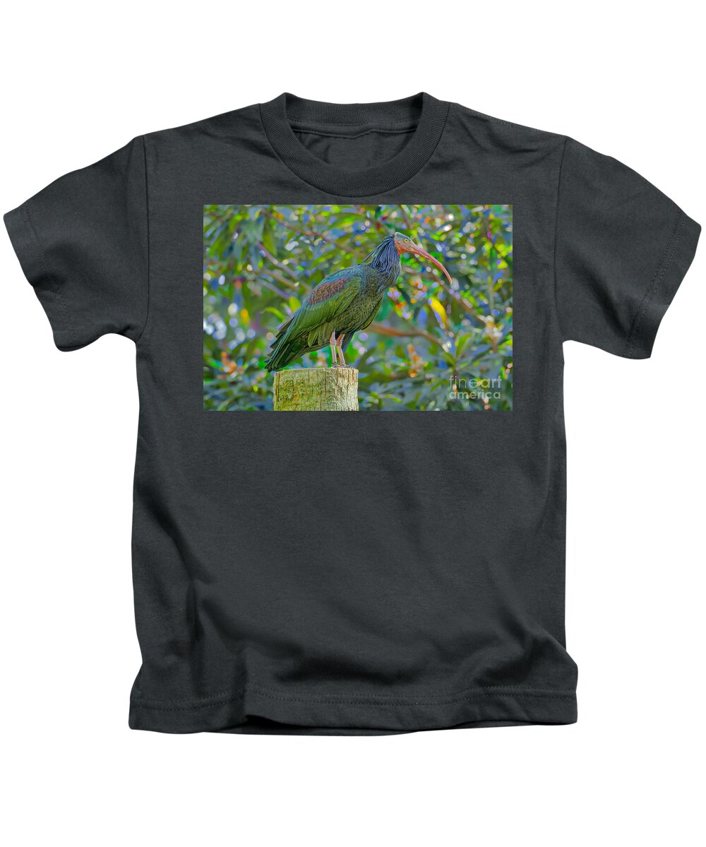 Asian Crested Ibis Kids T-Shirt featuring the photograph Eclectric by Judy Kay
