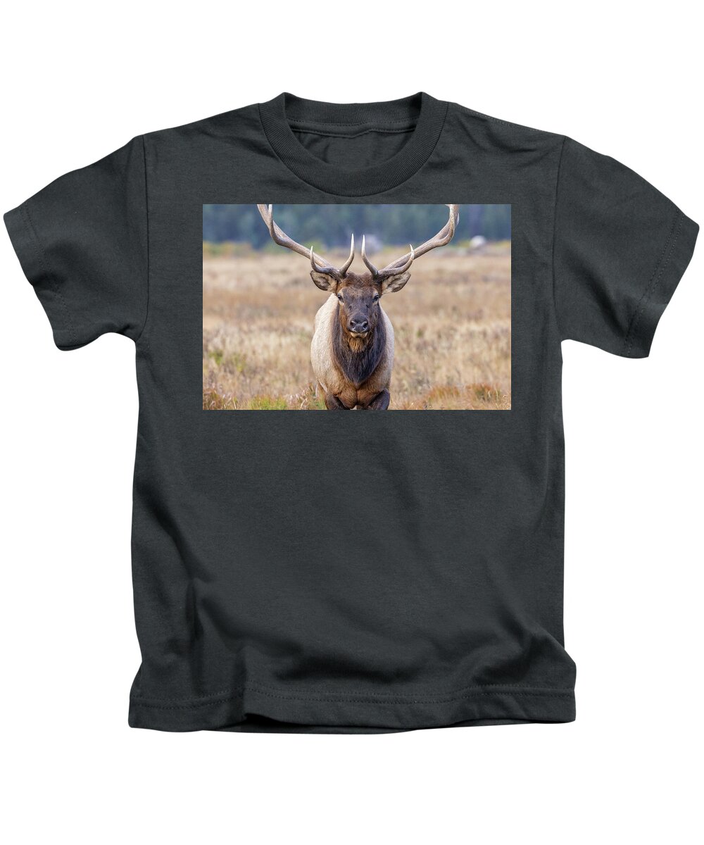 Elk Kids T-Shirt featuring the photograph Elk Bull Head On Close-Up by Tony Hake