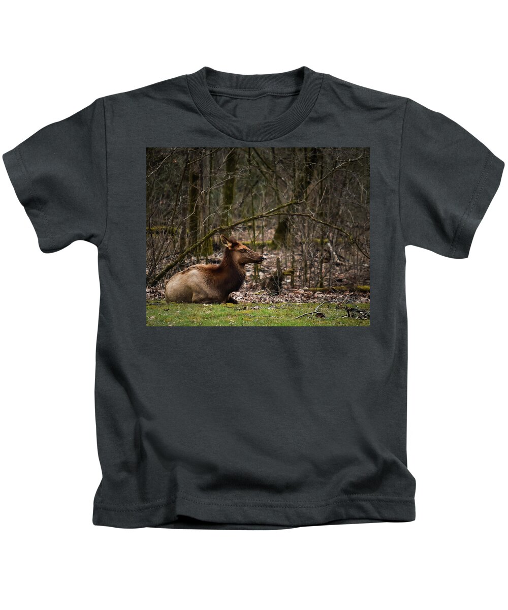 Wildlife Kids T-Shirt featuring the photograph Elk Relaxing by Rick Nelson