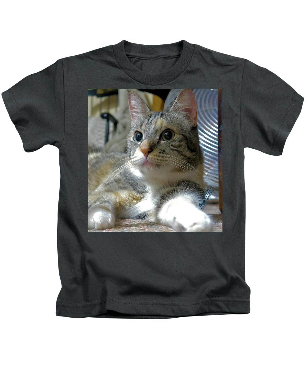 Cat;calico;white;pose;pet;animal Kids T-Shirt featuring the digital art Emma by Leon deVose