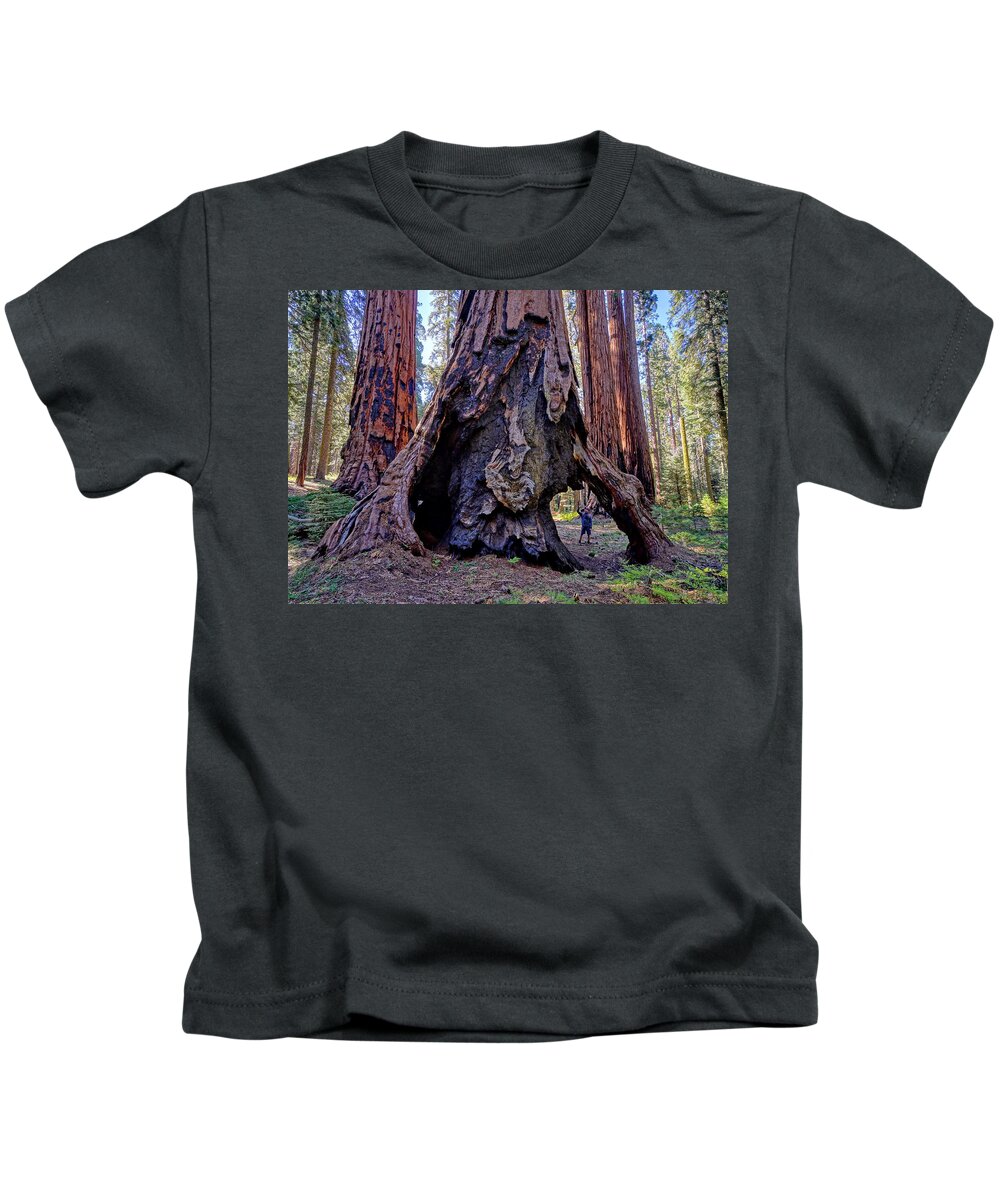 Giant Sequoia Tree Kids T-Shirt featuring the photograph Encounter by Brett Harvey