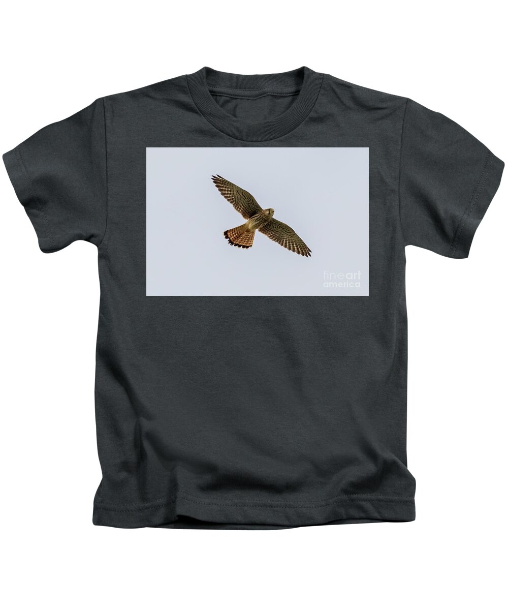 Kestrel Kids T-Shirt featuring the photograph Eurasian Kestrel Falco tinnunculus Costa Ballena Cadiz by Pablo Avanzini
