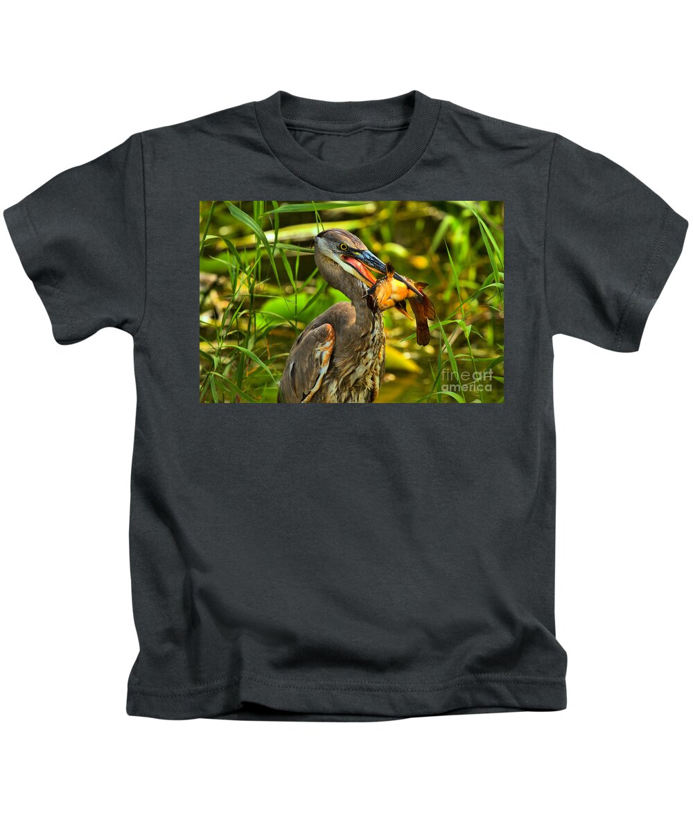 Everglade Kids T-Shirt featuring the photograph Everglades Catfish Dinner by Adam Jewell