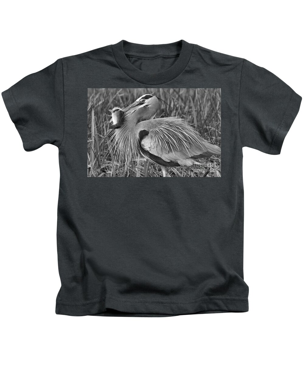 Everglade Kids T-Shirt featuring the photograph Everglades Catfish Hunter Black And White by Adam Jewell
