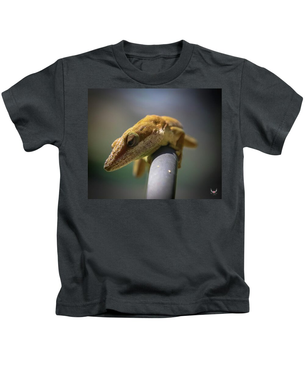 Lizard Kids T-Shirt featuring the photograph Eye See You by Pam Rendall