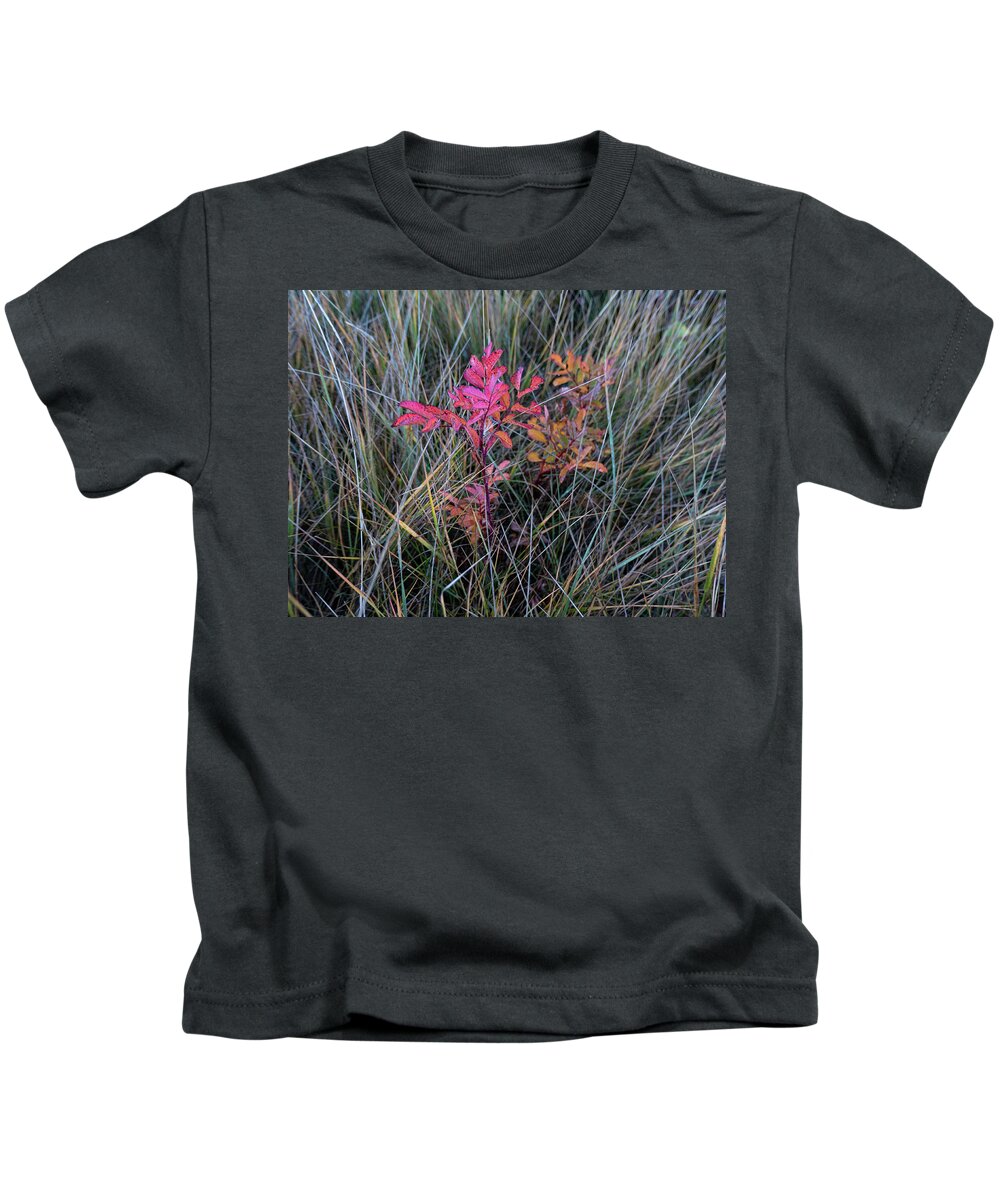Wild Rose Kids T-Shirt featuring the photograph Fall Wild Rose Plant On The Prairie by Karen Rispin