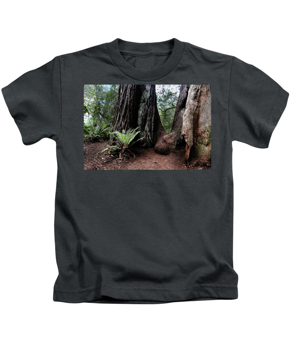 Fern Kids T-Shirt featuring the photograph Fern in redwood forest by Craig A Walker