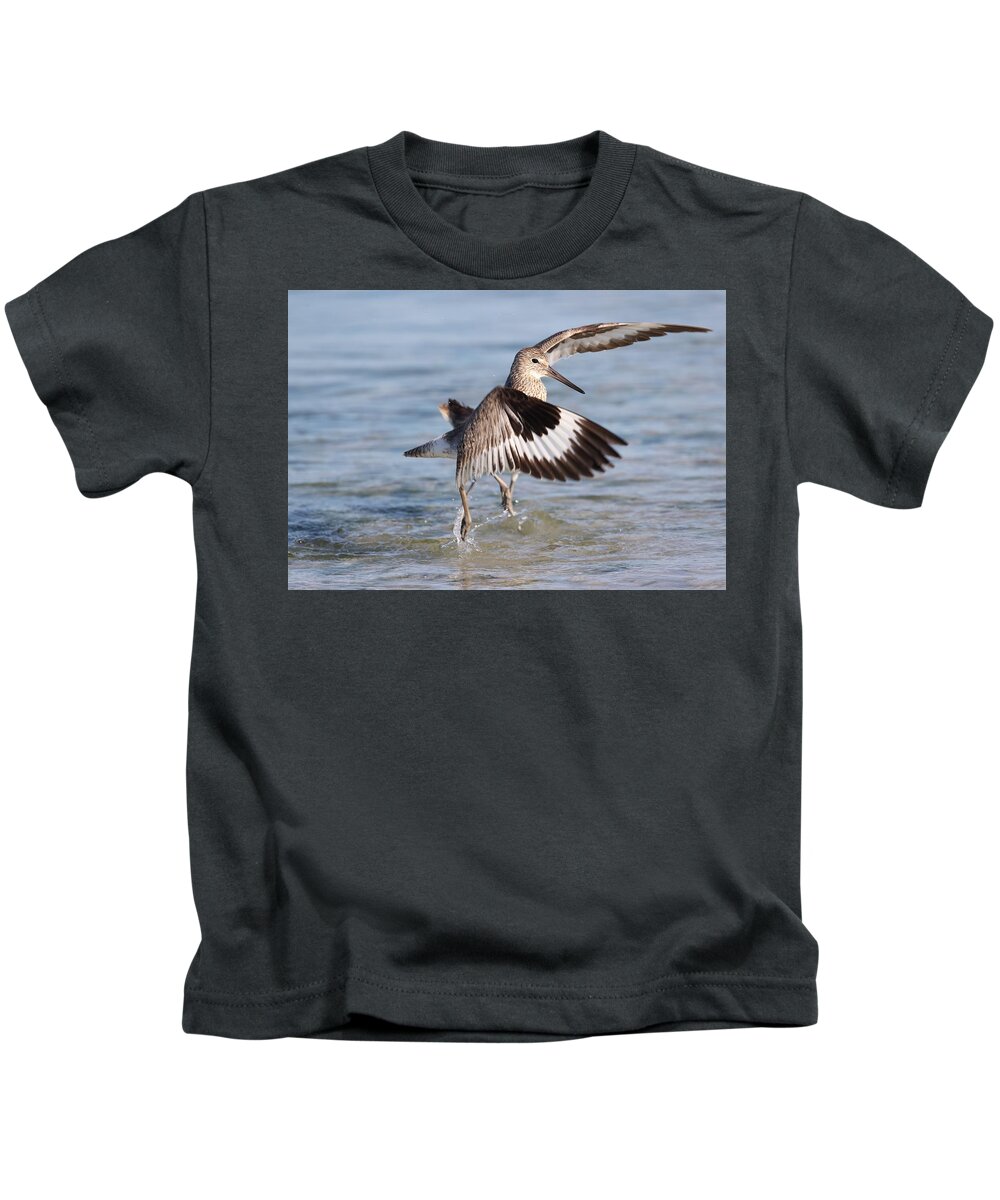 Willet Kids T-Shirt featuring the photograph Fight between Two Willets by Mingming Jiang
