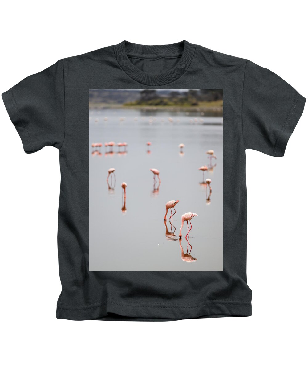 Flamingo Kids T-Shirt featuring the photograph Flamingo Reflections by David Hart