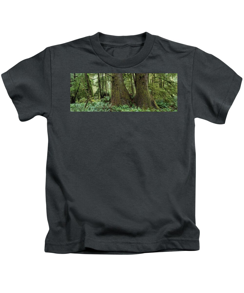 Autumn Kids T-Shirt featuring the photograph Forest Panorama by Robert Potts