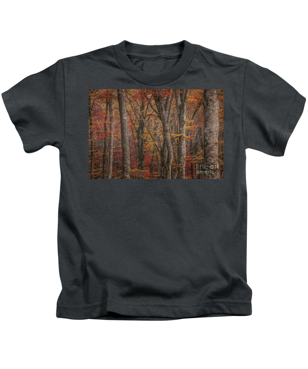 Forest Kids T-Shirt featuring the photograph Foresta Faggeta Vetusta del Monte Cimino by Marco Crupi