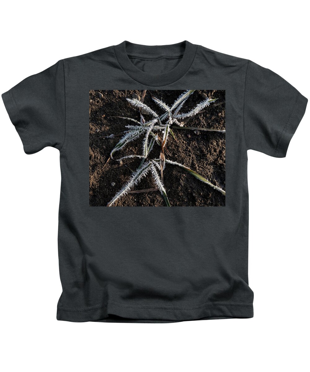Frost Kids T-Shirt featuring the photograph Frost On Crabgrass by Karen Rispin