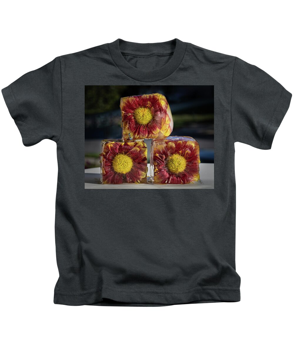Flower Kids T-Shirt featuring the photograph Frozen Trio by Elvira Peretsman
