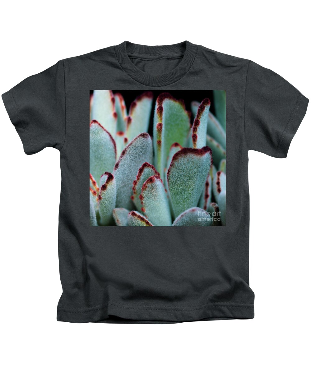 Fuzzy Kids T-Shirt featuring the photograph Fuzzy Fury Cactus by Abigail Diane Photography