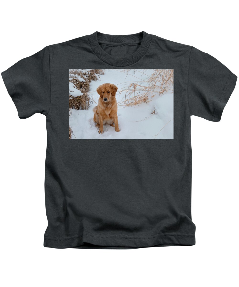 Gentle Kids T-Shirt featuring the photograph Gentle Dog In Snow by Karen Rispin