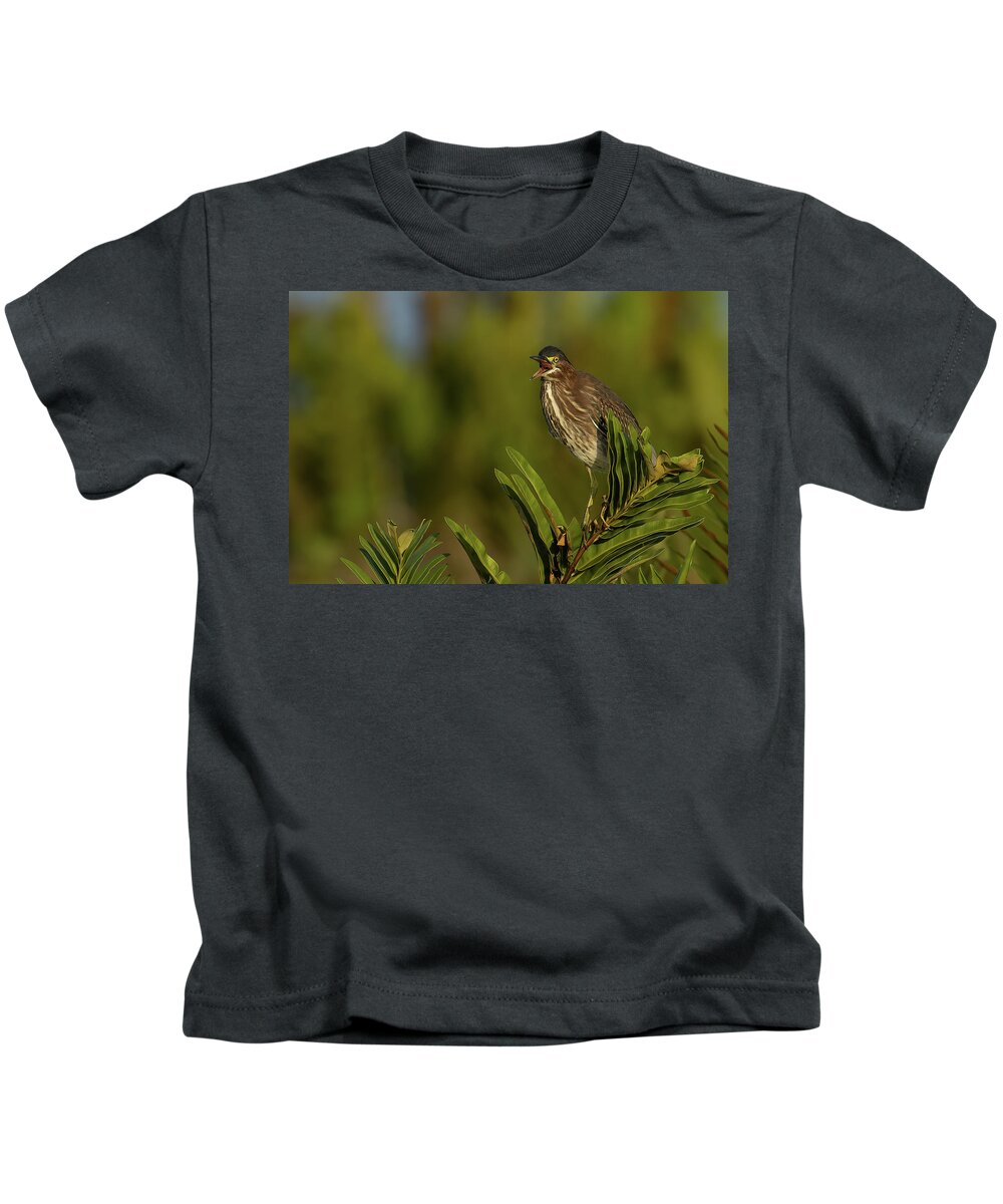 Green Heron Kids T-Shirt featuring the photograph GH Talking 1 by RD Allen