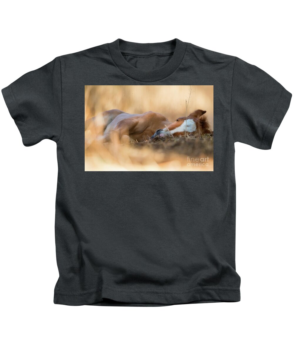 Cute Foal Kids T-Shirt featuring the photograph Golden Nap by Shannon Hastings