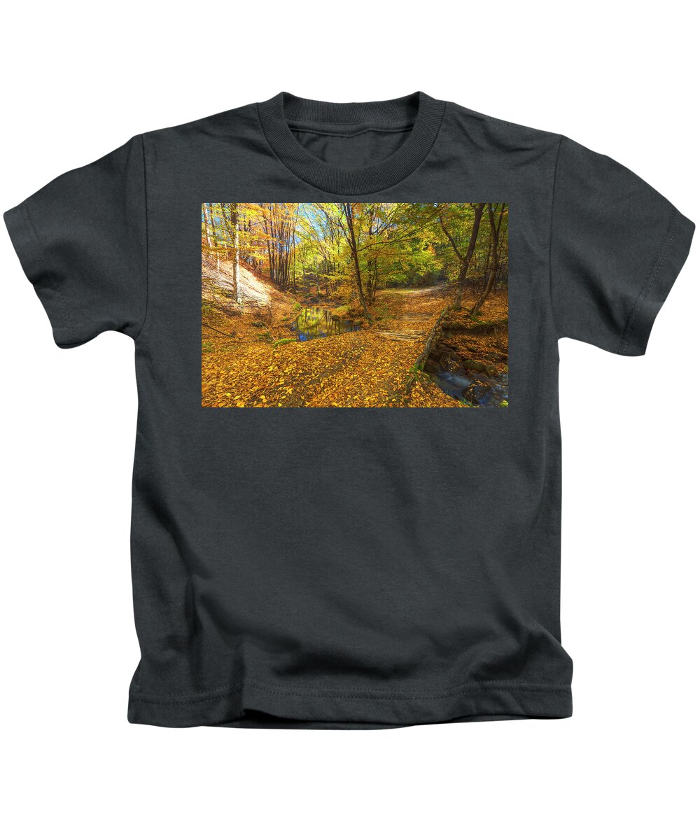 Bulgaria Kids T-Shirt featuring the photograph Golden River by Evgeni Dinev