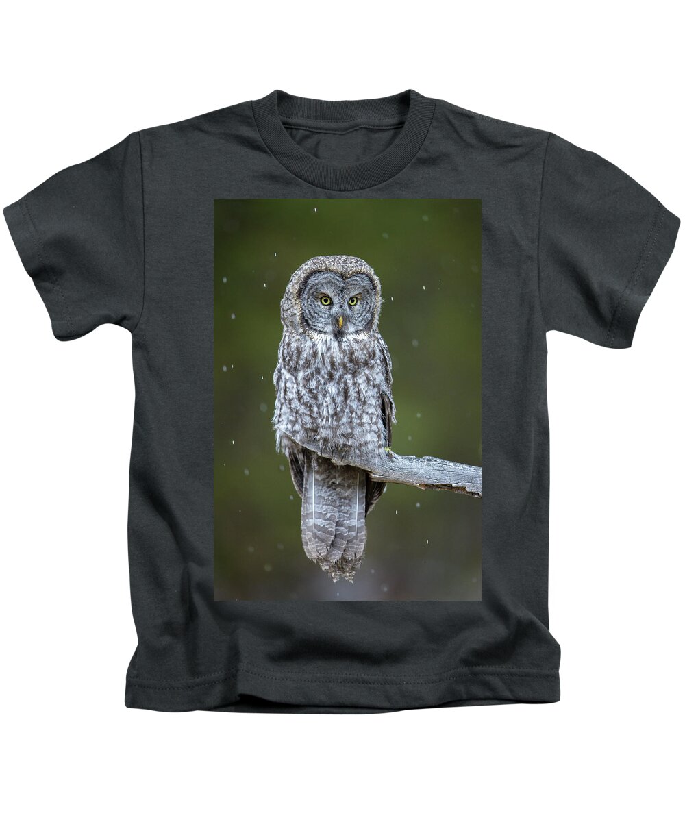 Bird Kids T-Shirt featuring the photograph Gray ghost by D Robert Franz