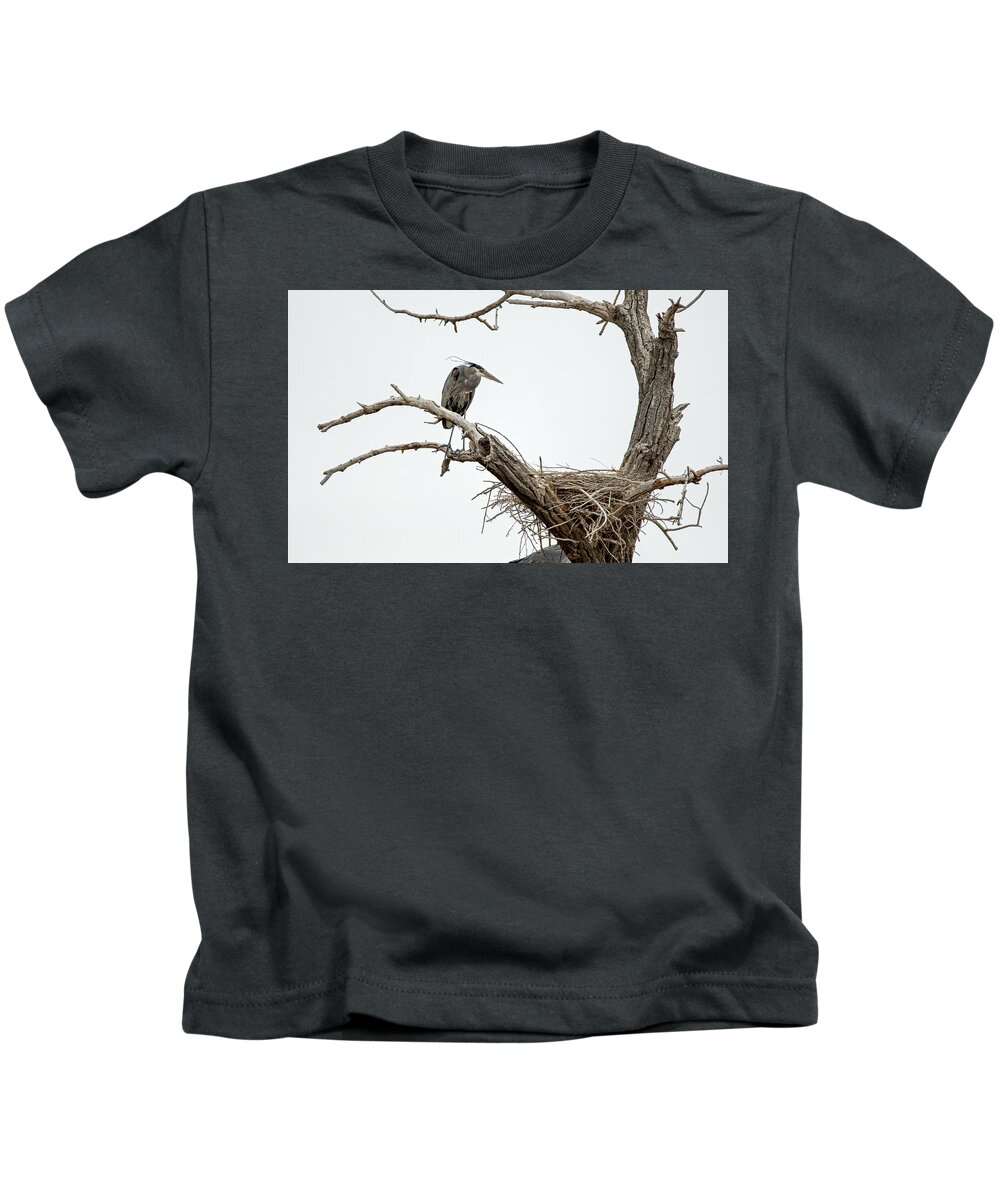 Stillwater Wildlife Refuge Kids T-Shirt featuring the photograph Great Blue Heron 13 by Rick Mosher
