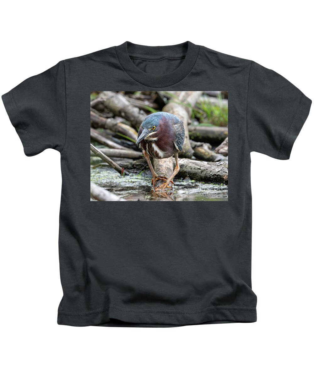 Green Heron Kids T-Shirt featuring the photograph Green Heron on the Warpath by Ilene Hoffman