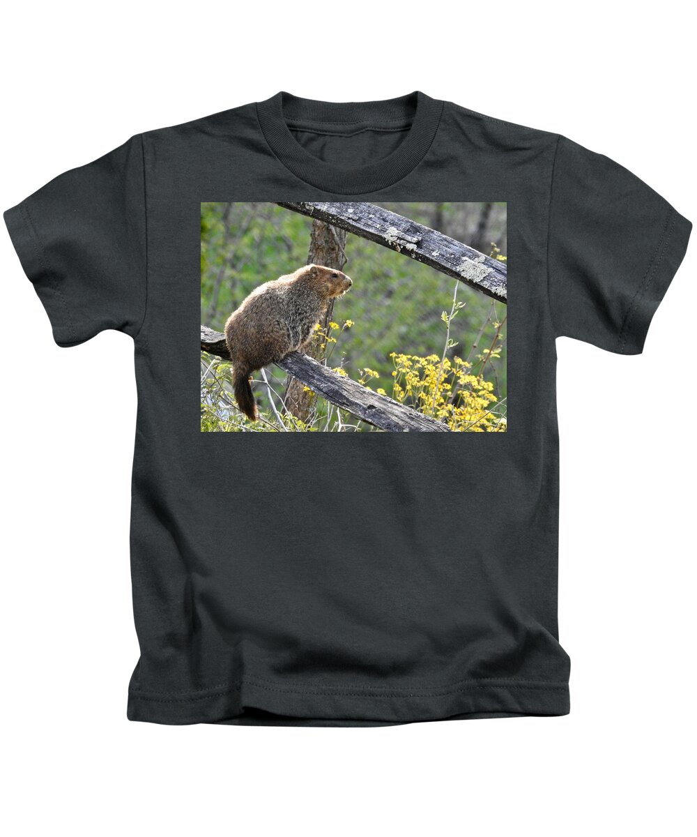 Groundhog Day Kids T-Shirt featuring the photograph Groundhog Day by Kathy Chism