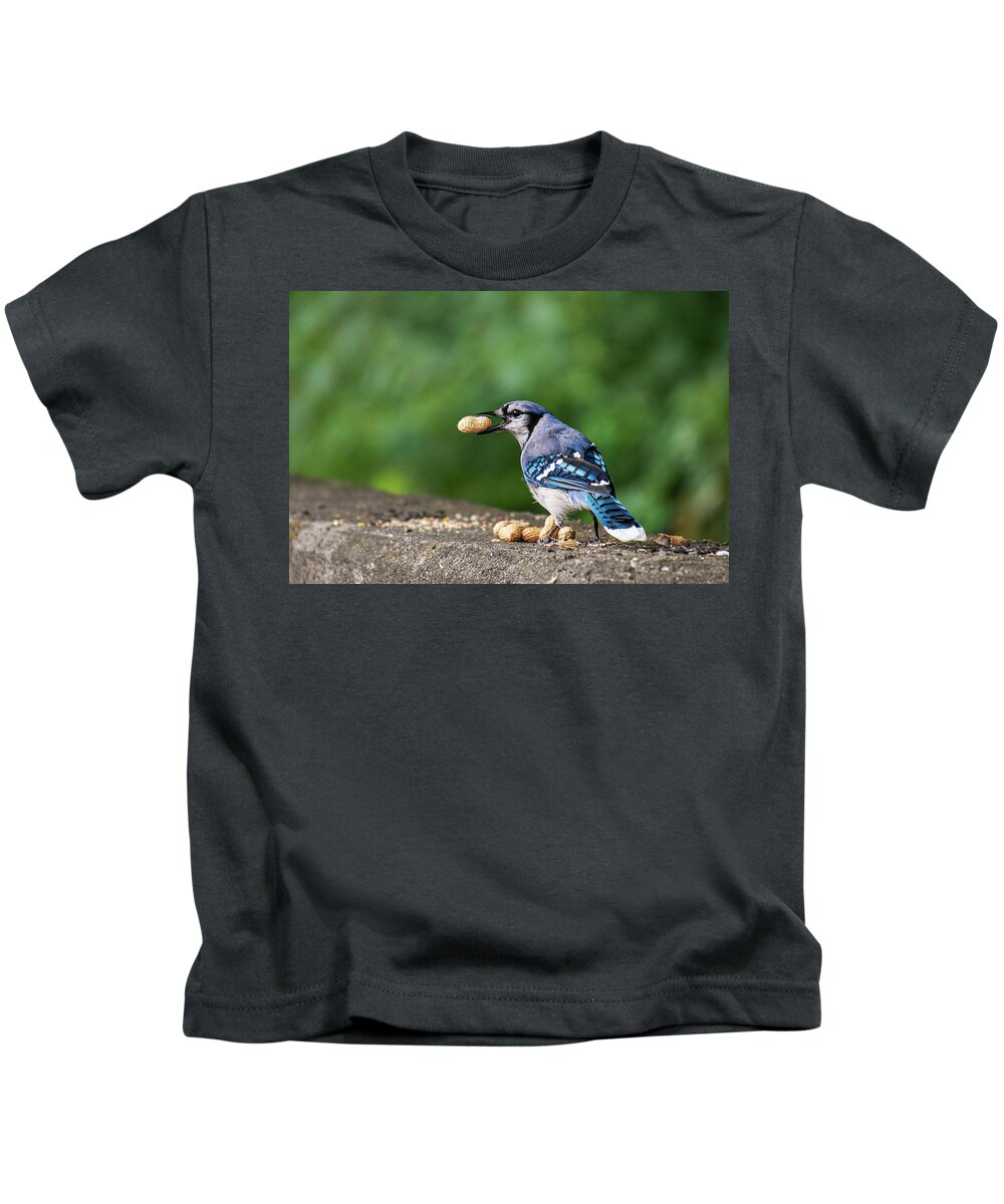 Blue Jay Kids T-Shirt featuring the photograph Happy Blue Jay with Peanut by Ilene Hoffman