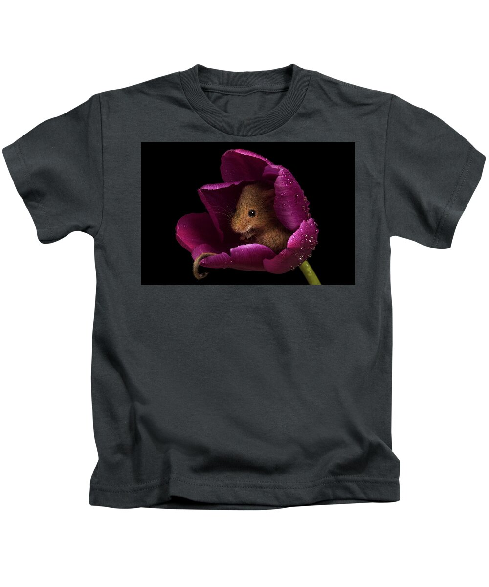 Harvest Kids T-Shirt featuring the photograph Harvest Mouse-3428 by Miles Herbert