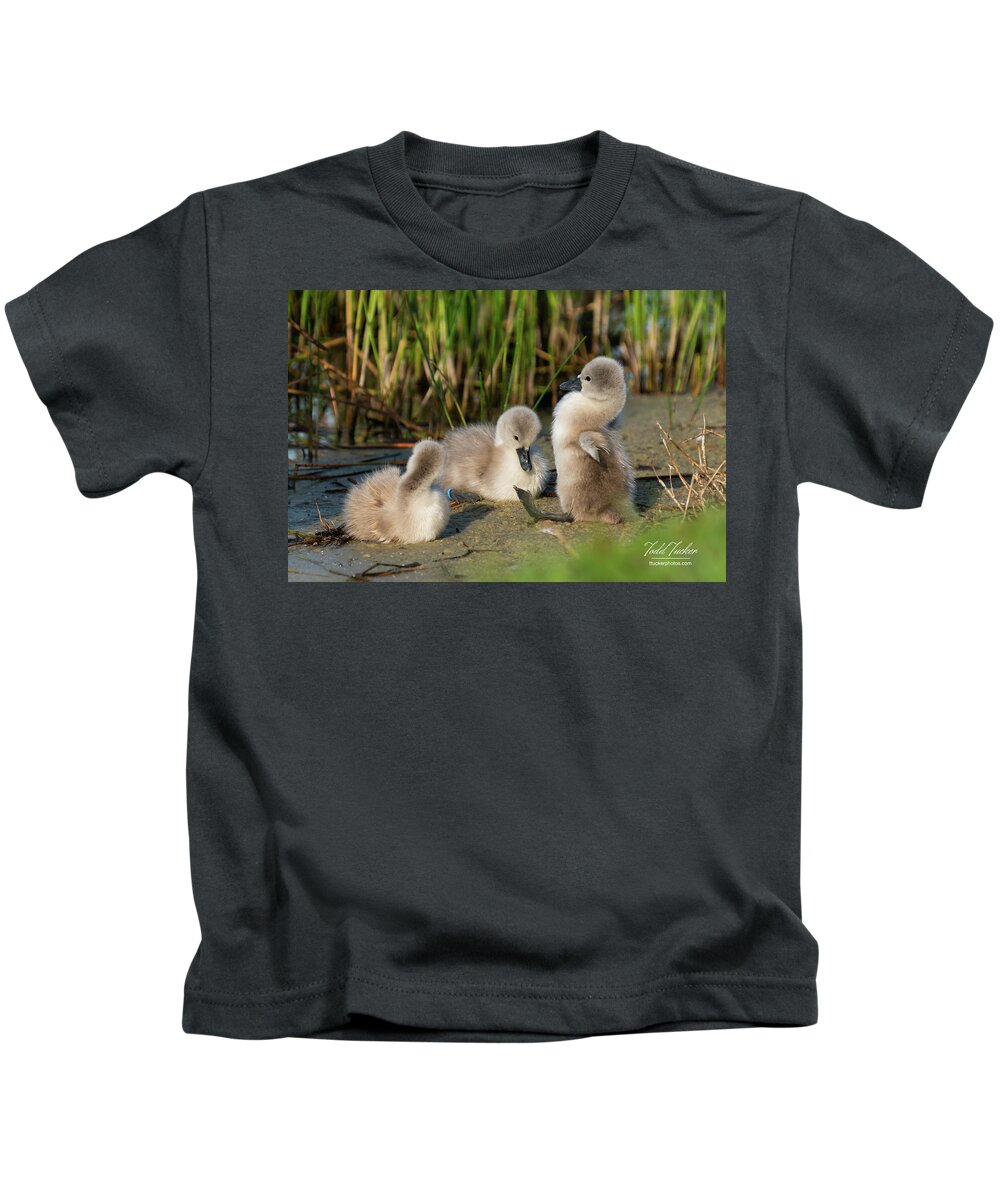 Baby Kids T-Shirt featuring the photograph Have a Seat by Todd Tucker