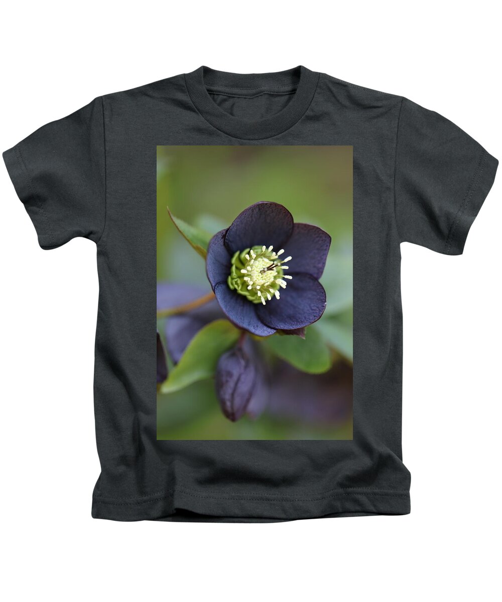 Helleborus Orientalis Kids T-Shirt featuring the photograph Hellebore by Tammy Pool