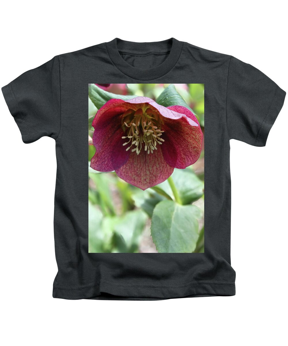 Botanical Kids T-Shirt featuring the photograph Helleborus by Robert Bolla