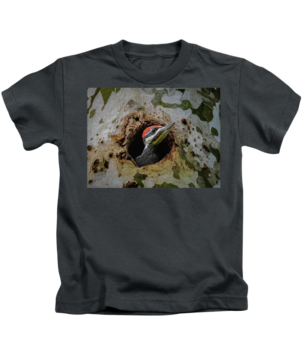 Pileated Kids T-Shirt featuring the photograph Hello world by Brian Shoemaker
