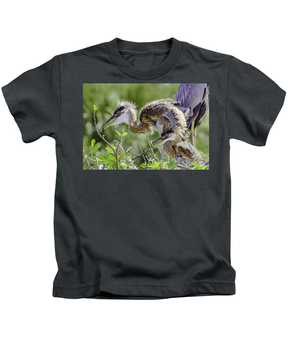 Great Blue Heron Kids T-Shirt featuring the photograph Heron Chicks by David Lee