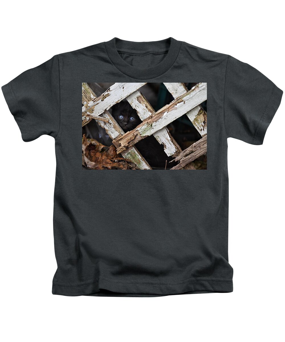 Cat Kids T-Shirt featuring the photograph Hidden by DArcy Evans