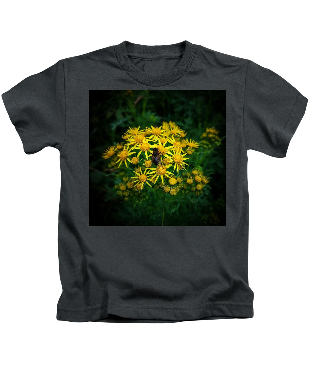 Yellow Flowers Kids T-Shirt featuring the photograph Honey Bee on Ragworth by Mark Callanan