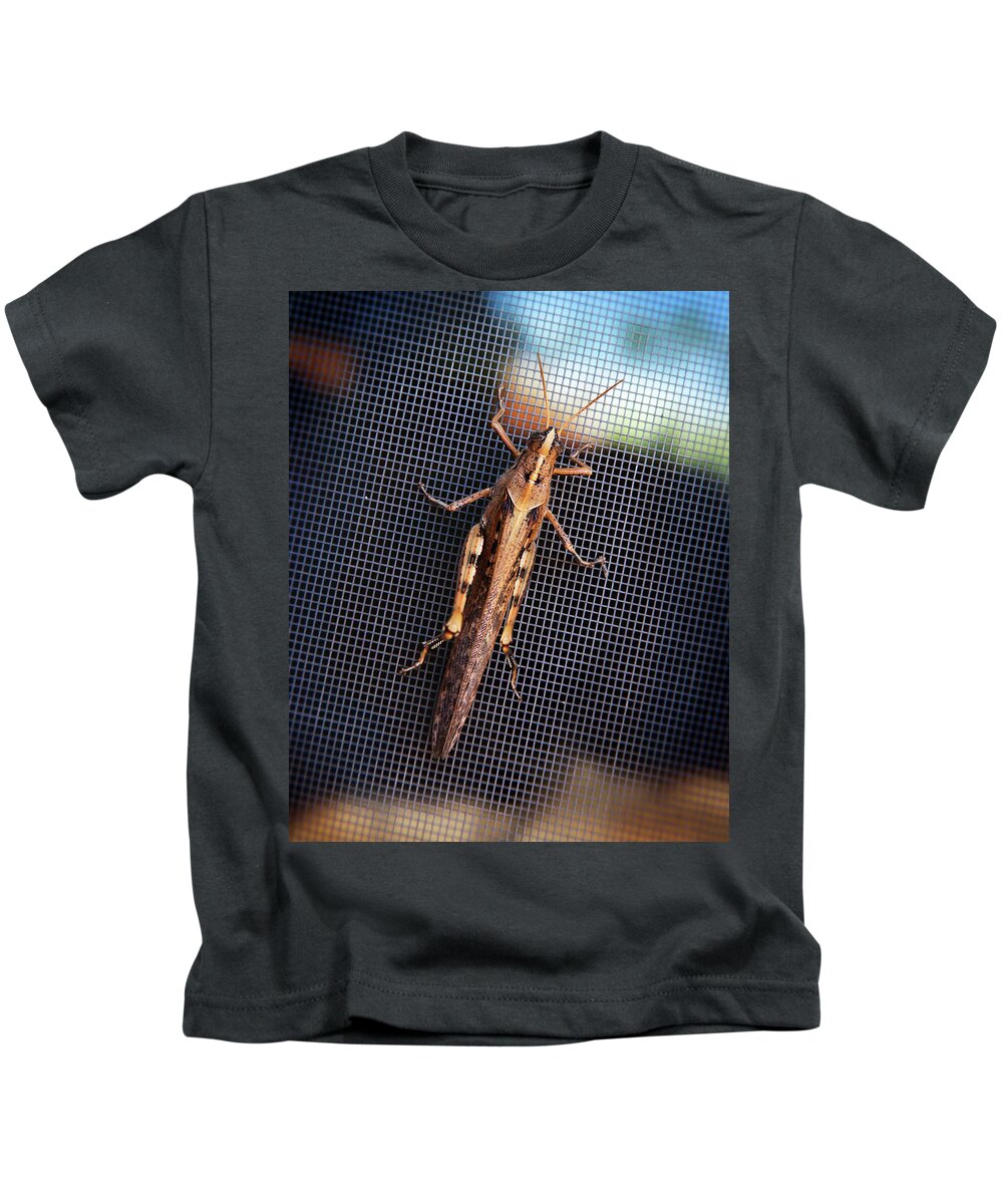 Grasshopper Kids T-Shirt featuring the photograph Hopper by Kelley King