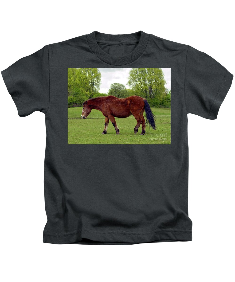 Digital Art Kids T-Shirt featuring the photograph Horse at Chadderton Hall Park Manchester uk by Pics By Tony