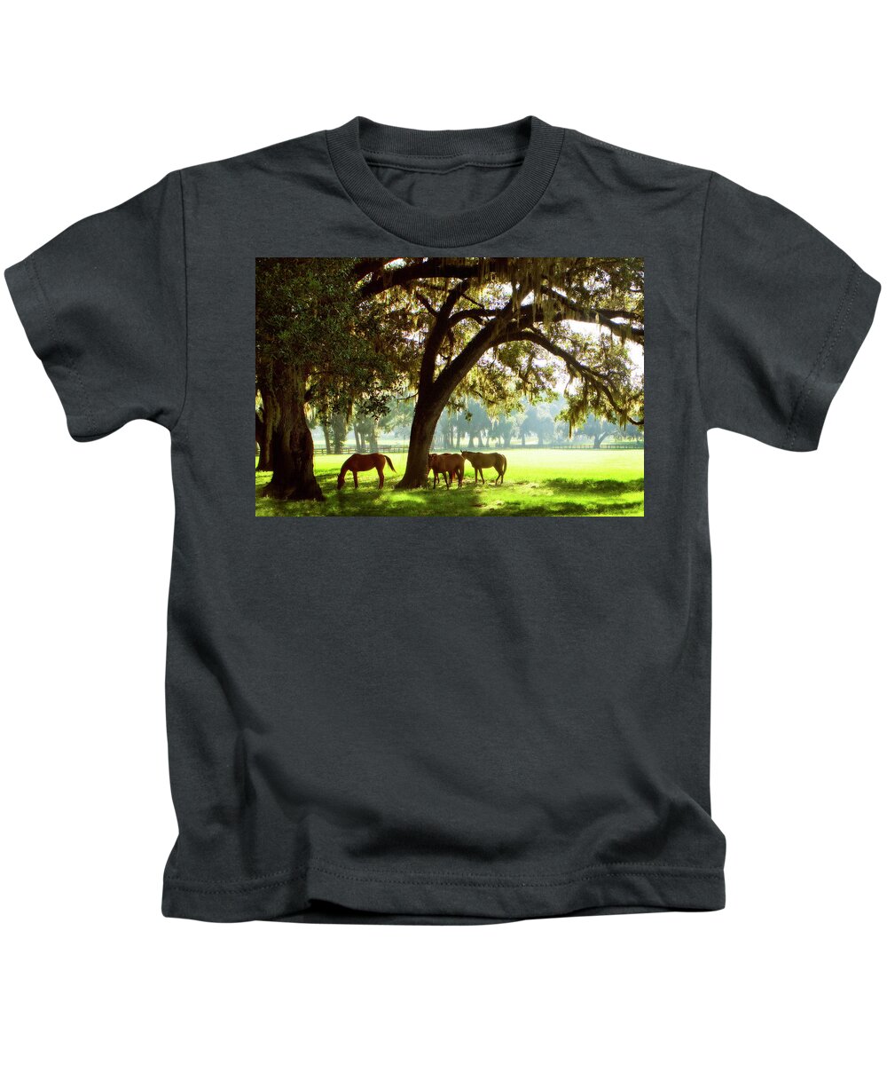 Photo Kids T-Shirt featuring the photograph Horses in the Sunrise 4 by Alan Hausenflock